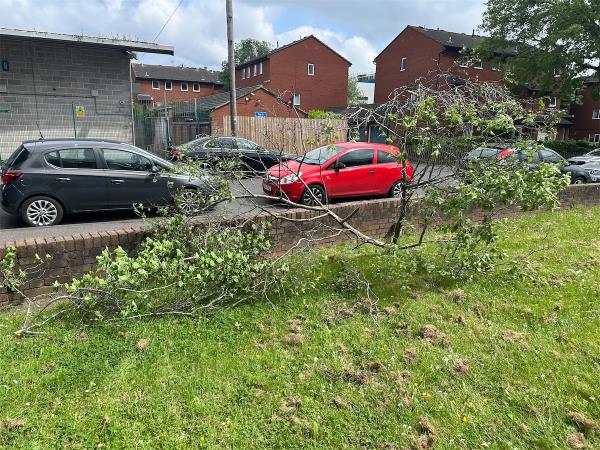 Tree branch fell one year ago not been taken away, now its been dragged and dumped-Woodfield House, Dacres Road, London, SE23 2BL