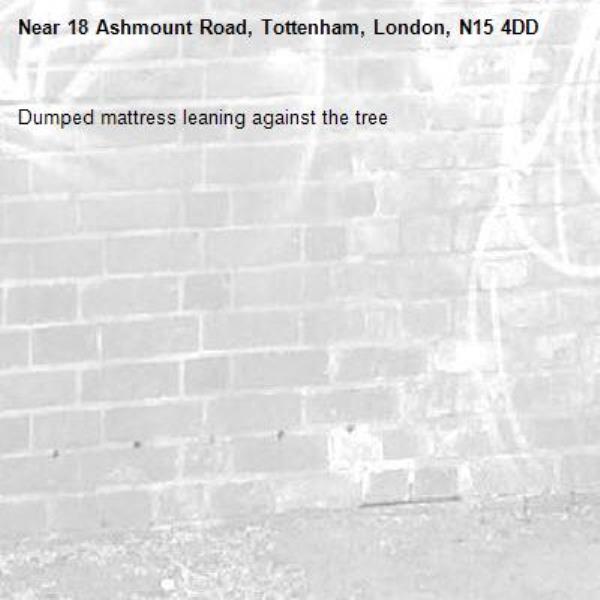 Dumped mattress leaning against the tree-18 Ashmount Road, Tottenham, London, N15 4DD