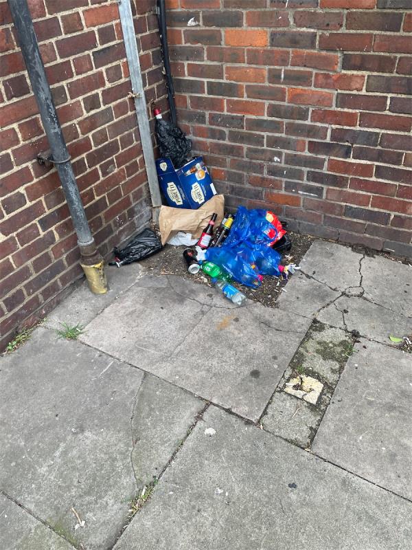 Plastic bags in paper bags with bottles, plastic and glass and cans in the corner by the flowerbed at the bottom of Geere Rd leading to new Plaistow Rd-136 Geere Road, Stratford, London, E15 3PW