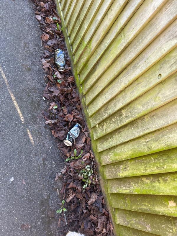 Lots of litter down the alleyway that leads from Queens Rd into Queen Elizabeth Drive. Mainly alcohol cans-62 Bell Chase, Aldershot GU11 3GZ, UK