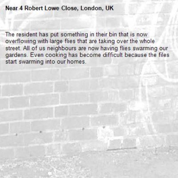 The resident has put something in their bin that is now overflowing with large flies that are taking over the whole street. All of us neighbours are now having flies swarming our gardens. Even cooking has become difficult because the files start swarming into our homes.-4 Robert Lowe Close, London, UK