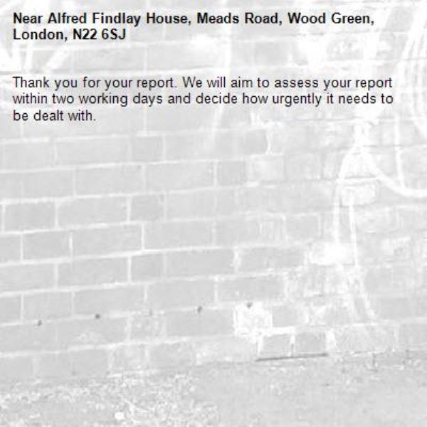 Thank you for your report. We will aim to assess your report within two working days and decide how urgently it needs to be dealt with.-Alfred Findlay House, Meads Road, Wood Green, London, N22 6SJ