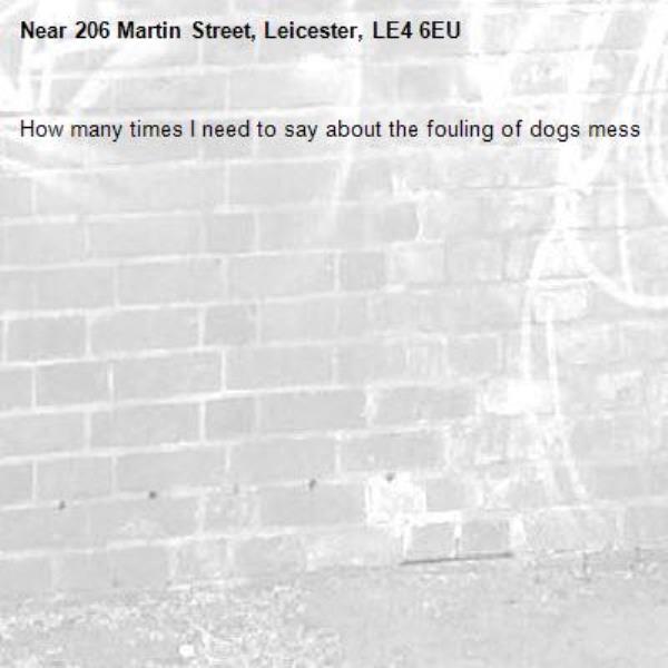How many times I need to say about the fouling of dogs mess -206 Martin Street, Leicester, LE4 6EU