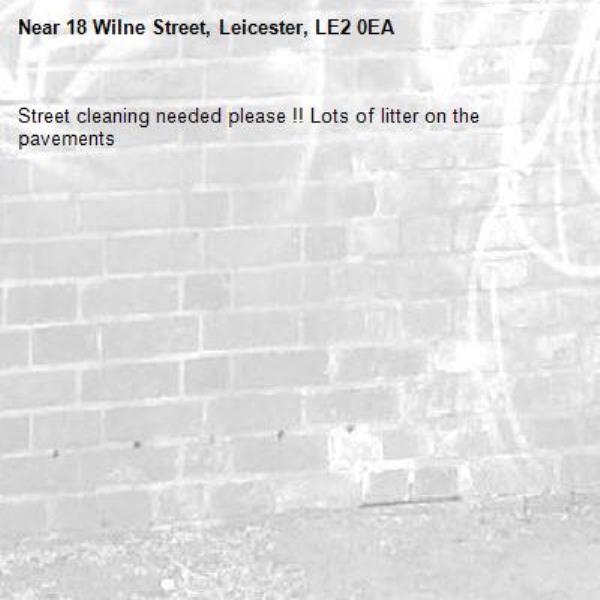 Street cleaning needed please !! Lots of litter on the pavements-18 Wilne Street, Leicester, LE2 0EA