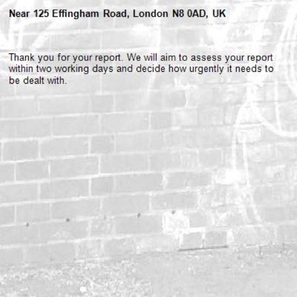 Thank you for your report. We will aim to assess your report within two working days and decide how urgently it needs to be dealt with.-125 Effingham Road, London N8 0AD, UK