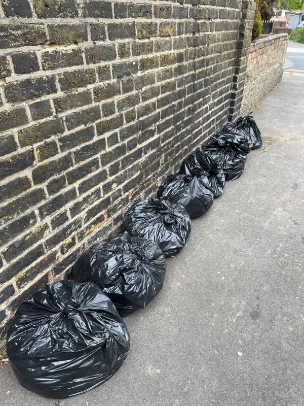 Seven bags of garden waste by crossing of Clarence Road and Albany Road E12-3 Clarence Road, Manor Park, London, E12 5BB