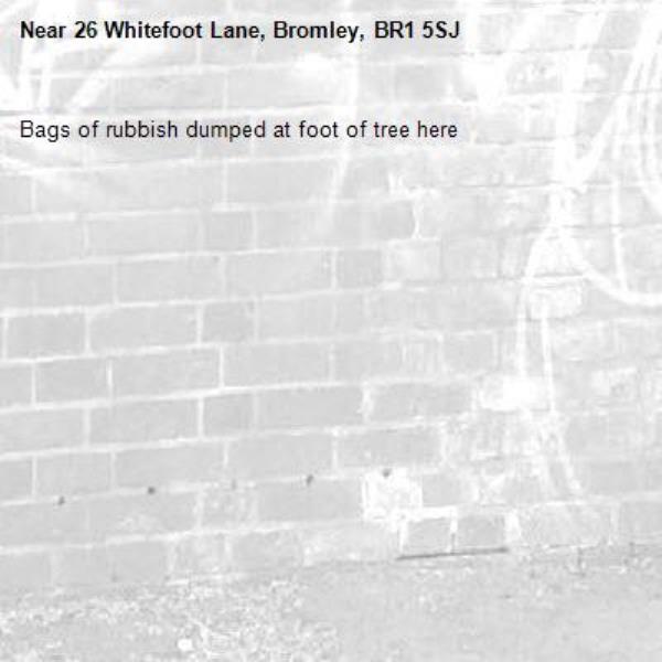 Bags of rubbish dumped at foot of tree here-26 Whitefoot Lane, Bromley, BR1 5SJ