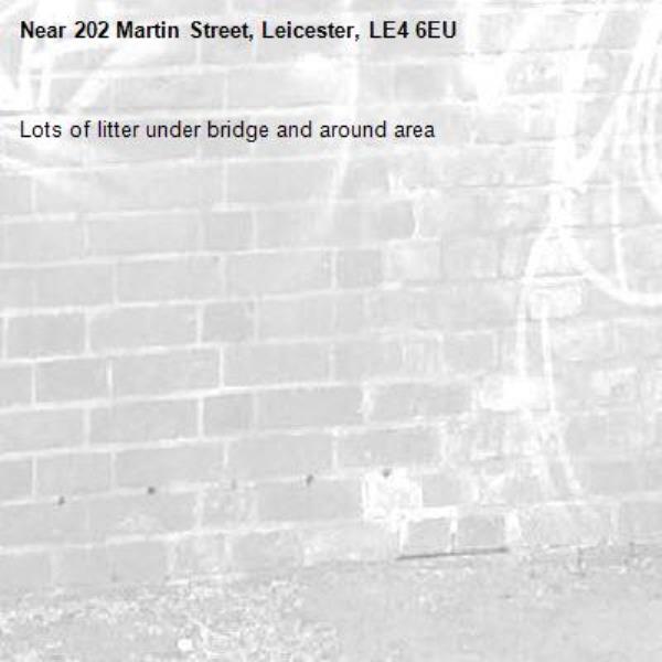 Lots of litter under bridge and around area-202 Martin Street, Leicester, LE4 6EU