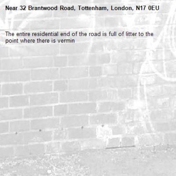 The entire residential end of the road is full of litter to the point where there is vermin -32 Brantwood Road, Tottenham, London, N17 0EU