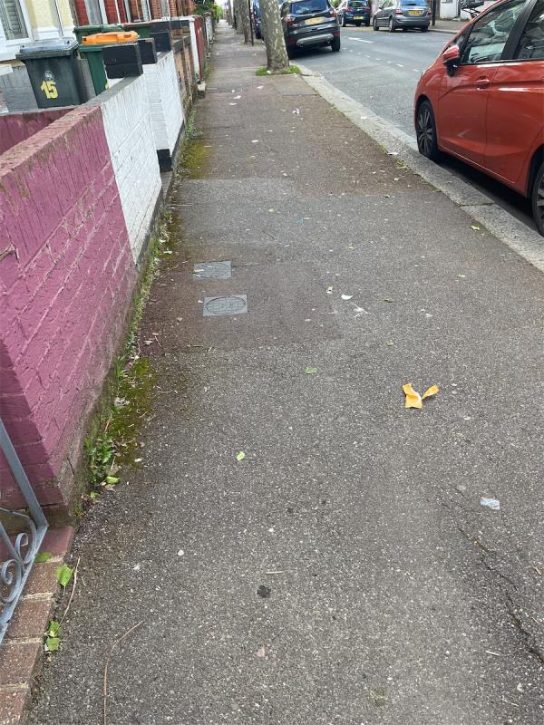 Photo doesn’t capture it but Marlow rd desperately in need of a sweep-13 Marlow Road, East Ham, London, E6 3QG