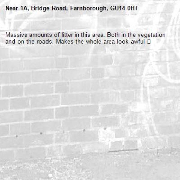 Massive amounts of litter in this area. Both in the vegetation and on the roads. Makes the whole area look awful 😕-1A, Bridge Road, Farnborough, GU14 0HT