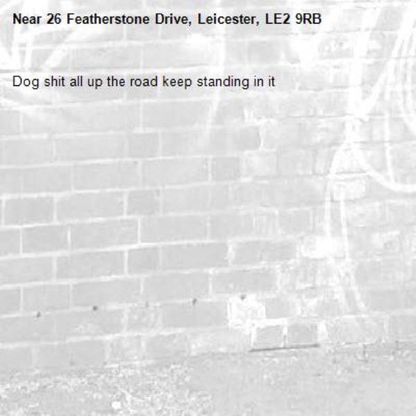Dog shit all up the road keep standing in it-26 Featherstone Drive, Leicester, LE2 9RB