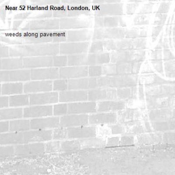 weeds along pavement-52 Harland Road, London, UK