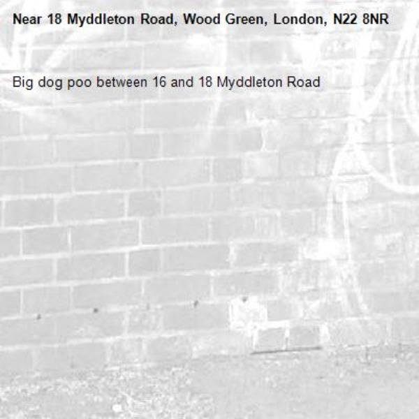 Big dog poo between 16 and 18 Myddleton Road-18 Myddleton Road, Wood Green, London, N22 8NR