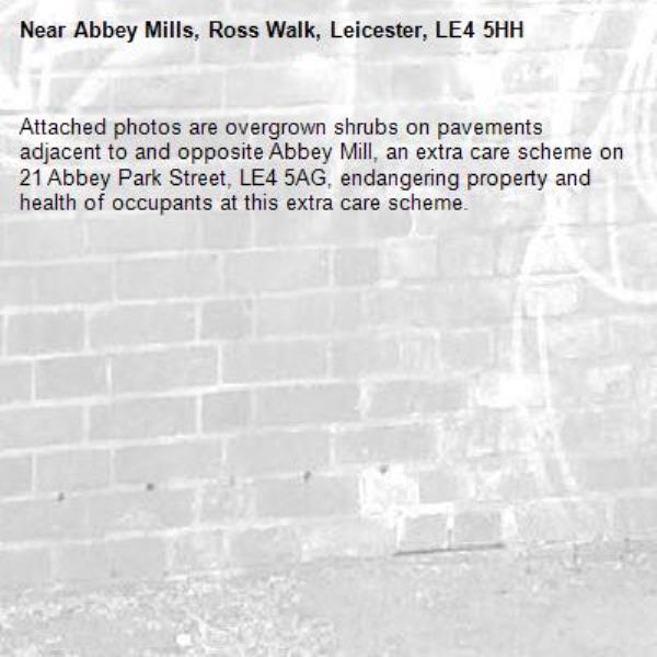Attached photos are overgrown shrubs on pavements adjacent to and opposite Abbey Mill, an extra care scheme on 21 Abbey Park Street, LE4 5AG, endangering property and health of occupants at this extra care scheme. -Abbey Mills, Ross Walk, Leicester, LE4 5HH