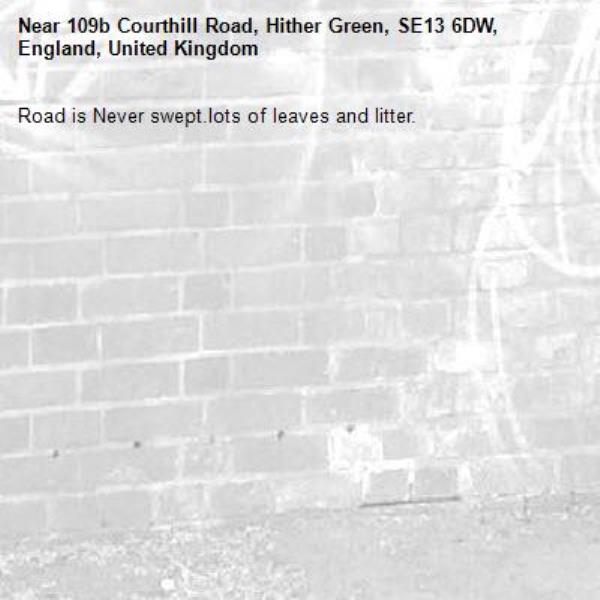 Road is Never swept.lots of leaves and litter.
-109b Courthill Road, Hither Green, SE13 6DW, England, United Kingdom