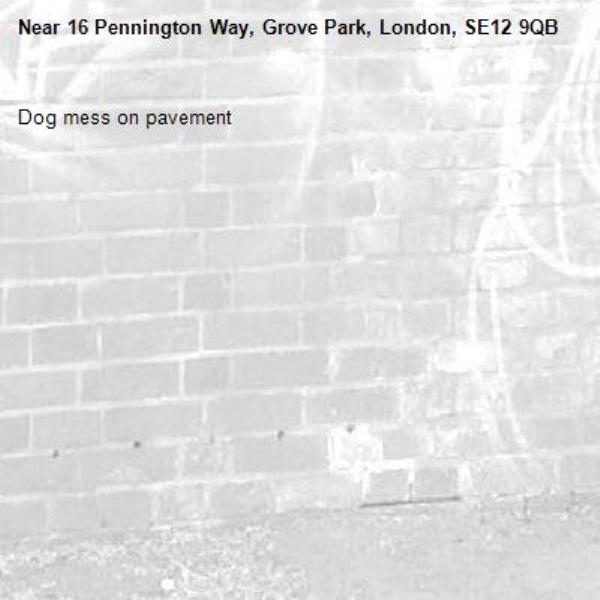 Dog mess on pavement-16 Pennington Way, Grove Park, London, SE12 9QB