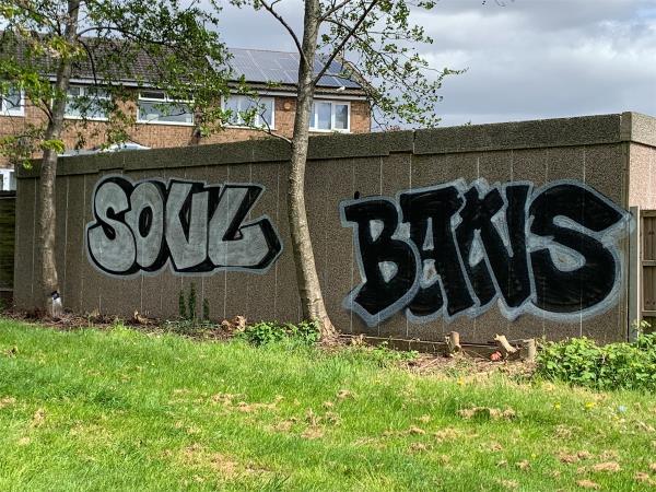Graffiti has appeared on the back of garages on New Parks Way towards the Scudamore rd , Park Rise roundabout. Wondered if the council could send a team to clean it up before it becomes even more of an eyesore. Thanks -54 Shire Close, Leicester, LE3 6SN