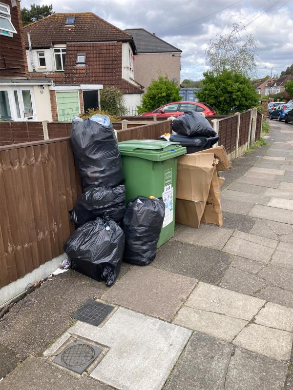 Lots of extra rubbish by household bin-208 Marvels Lane, Grove Park, London, SE12 9PL