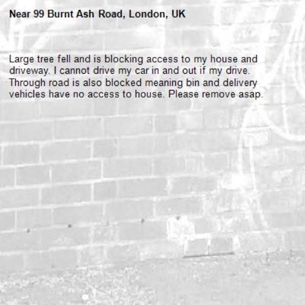 Large tree fell and is blocking access to my house and driveway. I cannot drive my car in and out if my drive. Through road is also blocked meaning bin and delivery vehicles have no access to house. Please remove asap. -99 Burnt Ash Road, London, UK