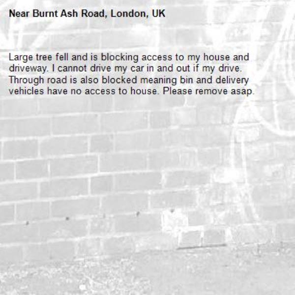 Large tree fell and is blocking access to my house and driveway. I cannot drive my car in and out if my drive. Through road is also blocked meaning bin and delivery vehicles have no access to house. Please remove asap. -99 Burnt Ash Road, London, UK