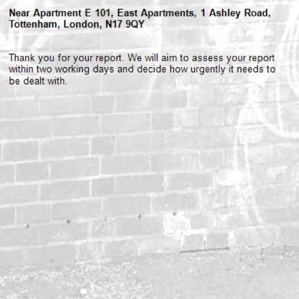 Thank you for your report. We will aim to assess your report within two working days and decide how urgently it needs to be dealt with.-Apartment E 101, East Apartments, 1 Ashley Road, Tottenham, London, N17 9QY