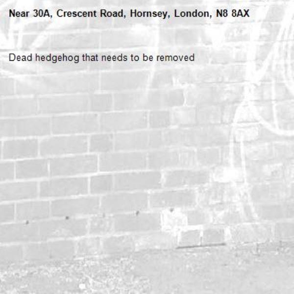 Dead hedgehog that needs to be removed-30A, Crescent Road, Hornsey, London, N8 8AX