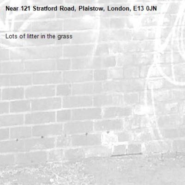 Lots of litter in the grass-121 Stratford Road, Plaistow, London, E13 0JN