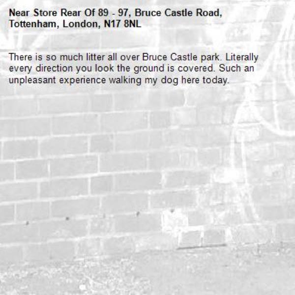There is so much litter all over Bruce Castle park. Literally every direction you look the ground is covered. Such an unpleasant experience walking my dog here today. -Store Rear Of 89 - 97, Bruce Castle Road, Tottenham, London, N17 8NL