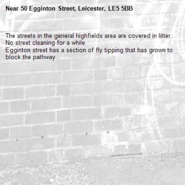The streets in the general highfields area are covered in litter. No street cleaning for a while.
Egginton street has a section of fly tipping that has grown to block the pathway -50 Egginton Street, Leicester, LE5 5BB