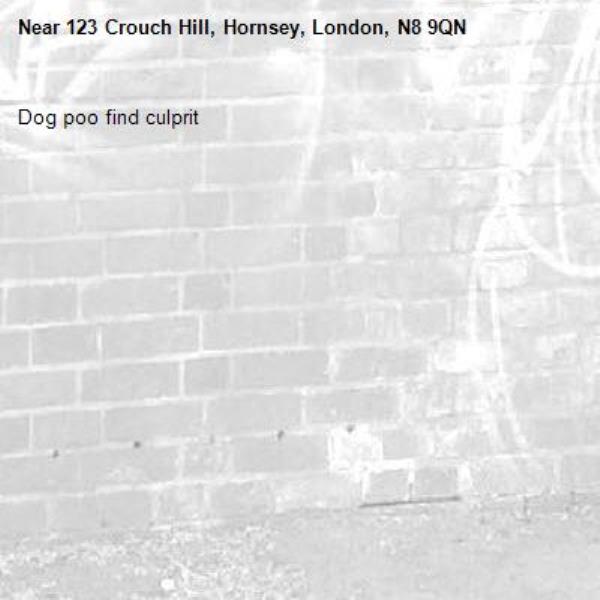 Dog poo find culprit -123 Crouch Hill, Hornsey, London, N8 9QN