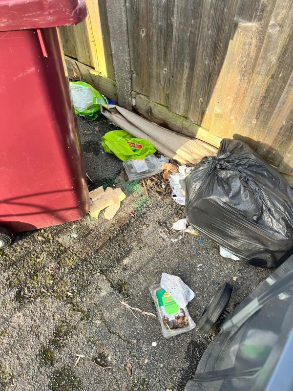 Can the walk way outside Valpy House Flats be cleaned PLEASE.. it’s disgraceful , and encouraging rodents .. it’s a health and safety issue .. -20 The Meadway, Tilehurst, RG30 4AH, England, United Kingdom