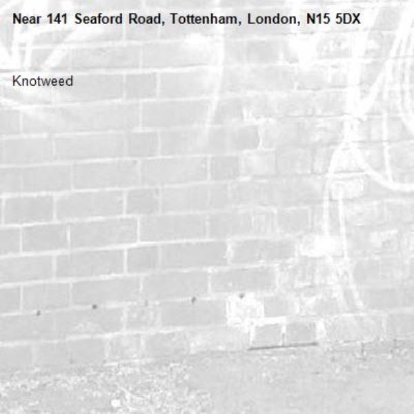 Knotweed-141 Seaford Road, Tottenham, London, N15 5DX