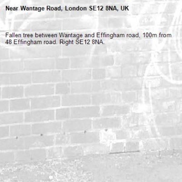 Fallen tree between Wantage and Effingham road, 100m from 48 Effingham road. Right SE12 8NA.-Wantage Road, London SE12 8NA, UK