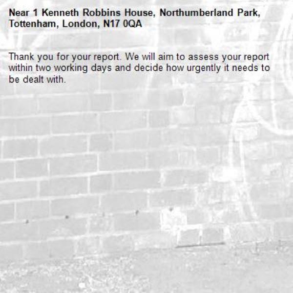 Thank you for your report. We will aim to assess your report within two working days and decide how urgently it needs to be dealt with.-1 Kenneth Robbins House, Northumberland Park, Tottenham, London, N17 0QA
