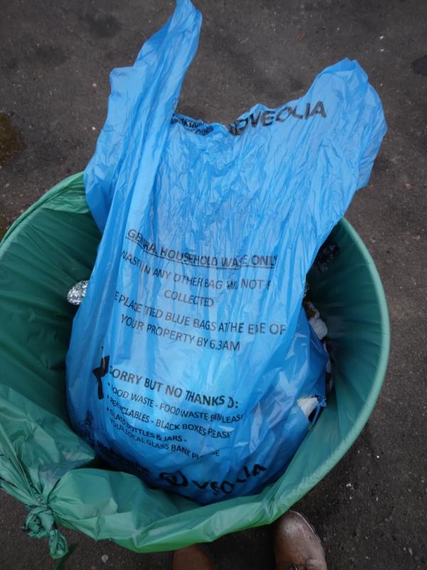 Cressingham road  not Staverton road ( GPs on this app is bad) blue wokingham waste bags jammed into bin . Coming from house near bin . Taken away job done. -19 Staverton Road, RG2 7LA, England, United Kingdom