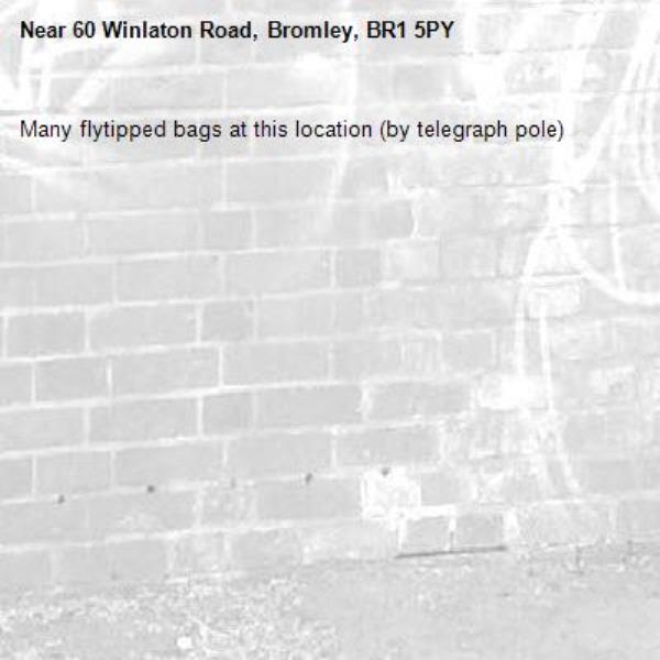 Many flytipped bags at this location (by telegraph pole)-60 Winlaton Road, Bromley, BR1 5PY