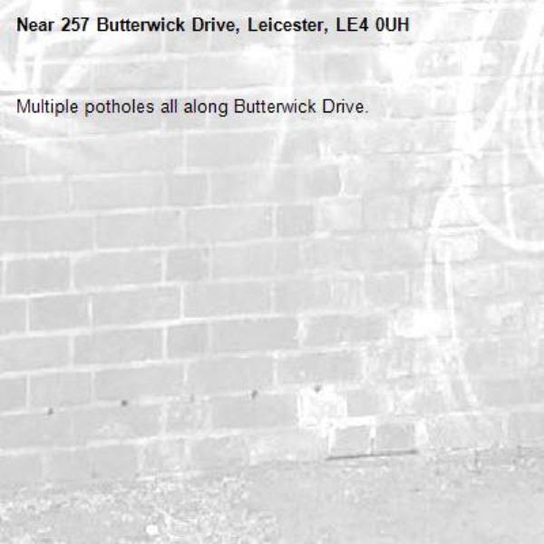 Multiple potholes all along Butterwick Drive.-257 Butterwick Drive, Leicester, LE4 0UH