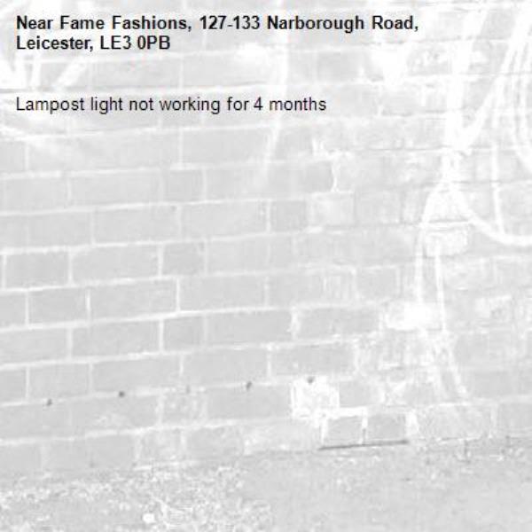 Lampost light not working for 4 months-Fame Fashions, 127-133 Narborough Road, Leicester, LE3 0PB