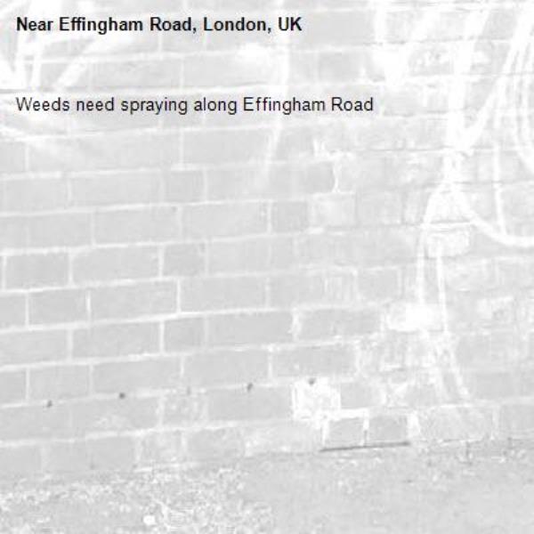 Weeds need spraying along Effingham Road-Effingham Road, London, UK