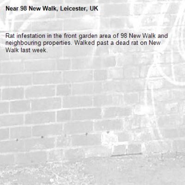 Rat infestation in the front garden area of 98 New Walk and neighbouring properties. Walked past a dead rat on New Walk last week. -98 New Walk, Leicester, UK