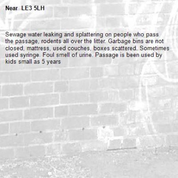 Sewage water leaking and splattering on people who pass the passage, rodents all over the litter. Garbage bins are not closed, mattress, used couches, boxes scattered. Sometimes used syringe. Foul smell of urine. Passage is been used by kids small as 5 years- LE3 5LH