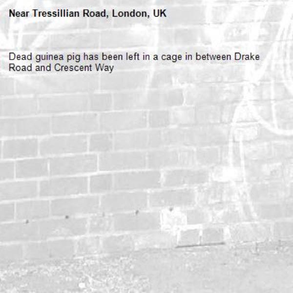 Dead guinea pig has been left in a cage in between Drake Road and Crescent Way-Tressillian Road, London, UK