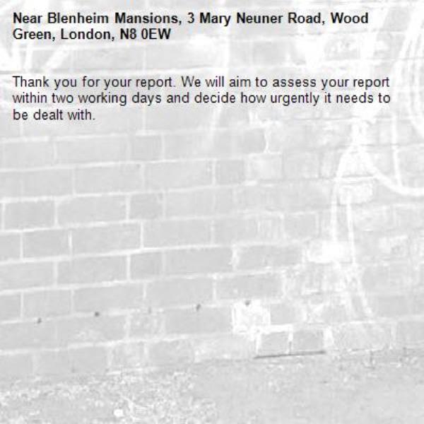 Thank you for your report. We will aim to assess your report within two working days and decide how urgently it needs to be dealt with.-Blenheim Mansions, 3 Mary Neuner Road, Wood Green, London, N8 0EW