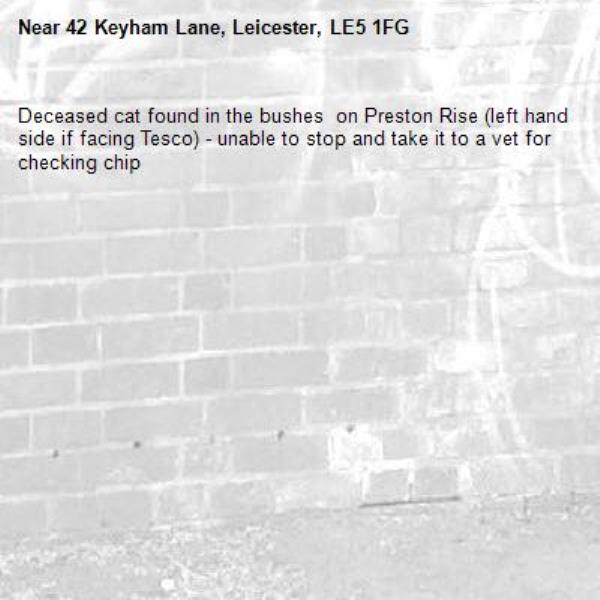 Deceased cat found in the bushes  on Preston Rise (left hand side if facing Tesco) - unable to stop and take it to a vet for checking chip -42 Keyham Lane, Leicester, LE5 1FG