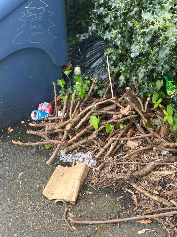 Seems people have taken to dumping rubbish behind and around the gritting bin . Black bags garden rubbish and litter -29 Reading Road, Farnborough, GU14 6NH
