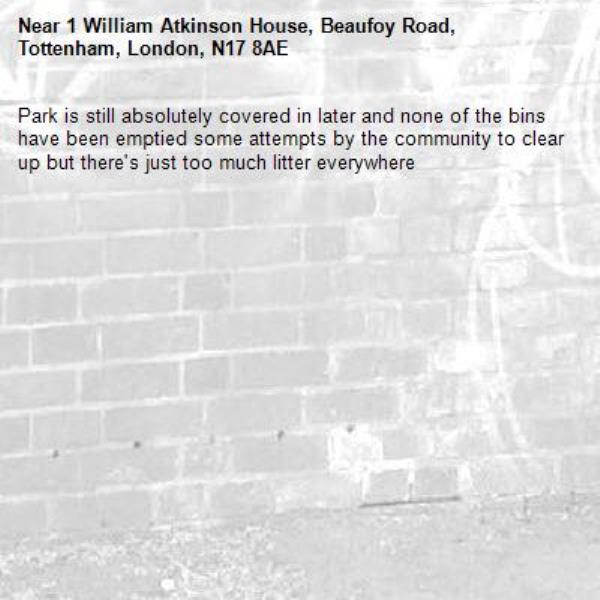 Park is still absolutely covered in later and none of the bins have been emptied some attempts by the community to clear up but there's just too much litter everywhere-1 William Atkinson House, Beaufoy Road, Tottenham, London, N17 8AE