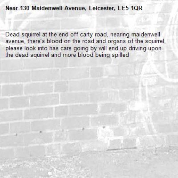 Dead squirrel at the end off carty road, nearing maidenwell avenue, there&#39;s blood on the road and organs of the squirrel, please look into has cars going by will end up driving upon the dead squirrel and more blood being spilled-130 Maidenwell Avenue, Leicester, LE5 1QR