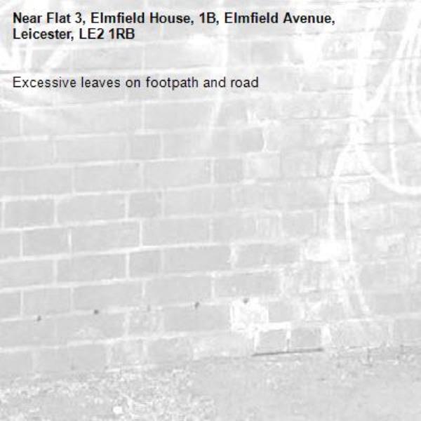 Excessive leaves on footpath and road -Flat 3, Elmfield House, 1B, Elmfield Avenue, Leicester, LE2 1RB