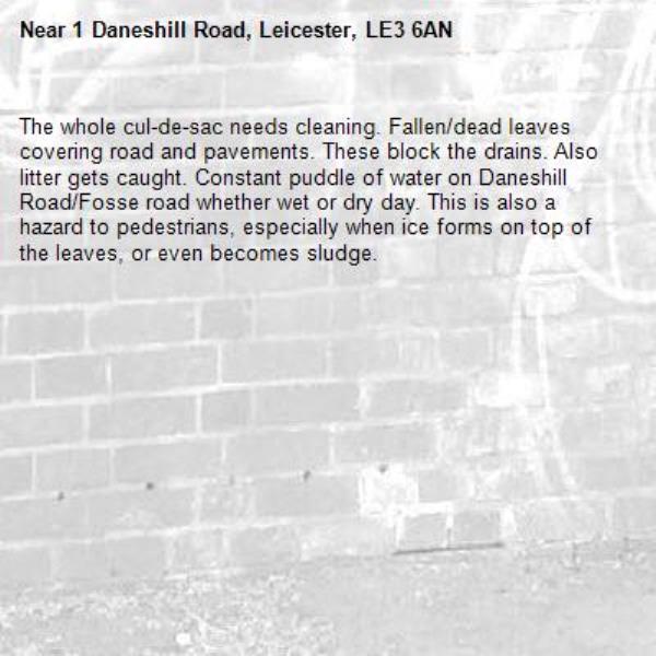 The whole cul-de-sac needs cleaning. Fallen/dead leaves covering road and pavements. These block the drains. Also litter gets caught. Constant puddle of water on Daneshill Road/Fosse road whether wet or dry day. This is also a hazard to pedestrians, especially when ice forms on top of the leaves, or even becomes sludge.-1 Daneshill Road, Leicester, LE3 6AN